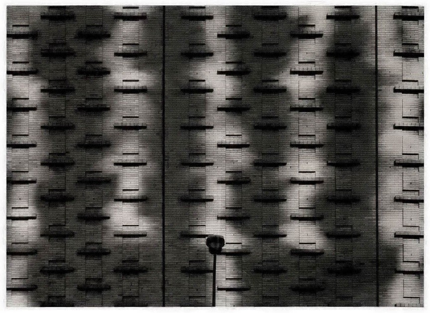 Synchronic Variations VII