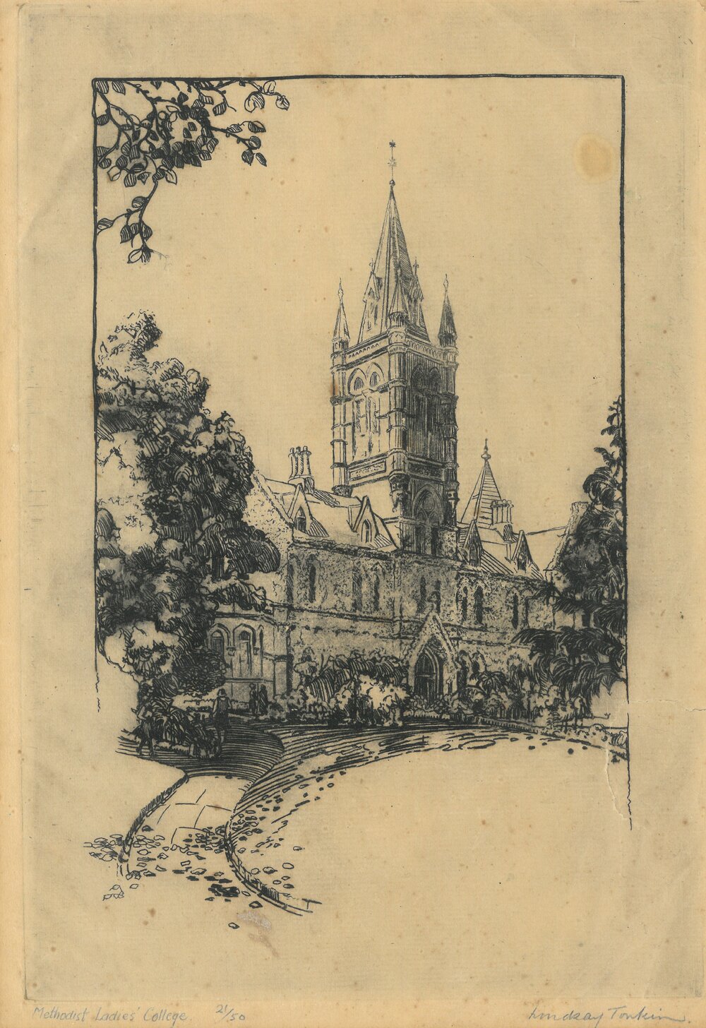 Etching of Main MLC building by Tonkin, c.1930-40