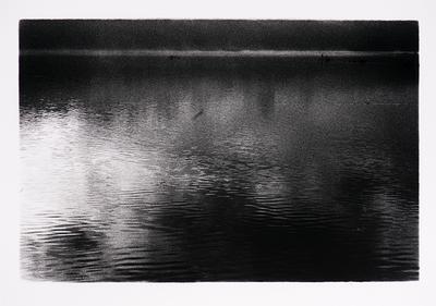 Estuary