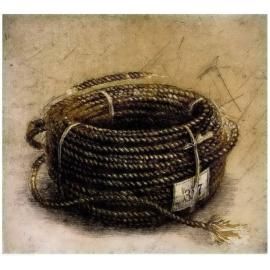 Still Life (Vessel of Honesty)