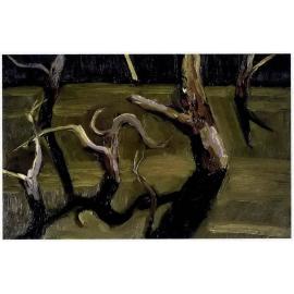 Study for Kew Billabong