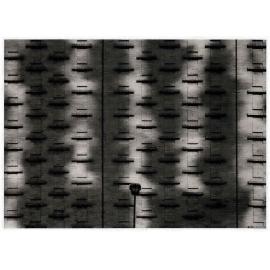 Synchronic Variations VII