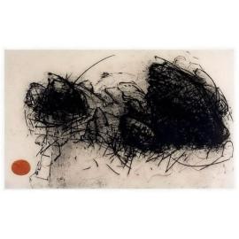 Page from my Cape Bridgewater Diary X