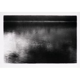 Estuary
