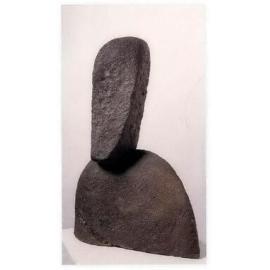 Easter Island Visitor
