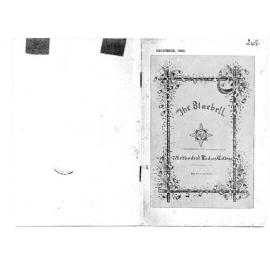 Bluebell, Dec 1920