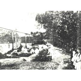 Junior Botany, c.1880's