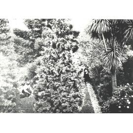 A Nook in the College Garden, c.1890
