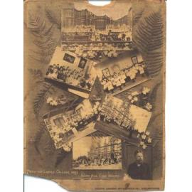 Christmas Card, 1893